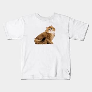 British Longhair Cat Kitten Kids T-Shirt